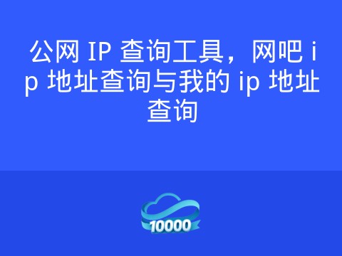 公网 IP 查询工具,网吧 ip 地址查询与我的 ip 地址查询