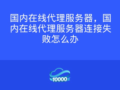 国内在线代理服务器,国内在线代理服务器连接失败怎么办
