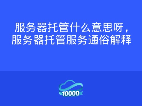 服务器托管什么意思呀,服务器托管服务通俗解释