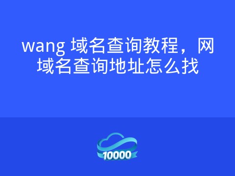 wang 域名查询教程,网域名查询地址怎么找