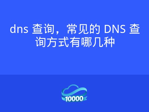 dns 查询,常见的 DNS 查询方式有哪几种