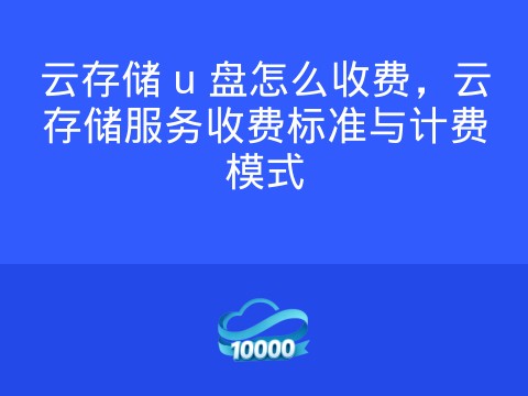云存储 u 盘怎么收费,云存储服务收费标准与计费模式