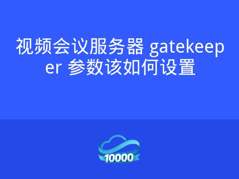 视频会议服务器 gatekeeper 参数该如何设置