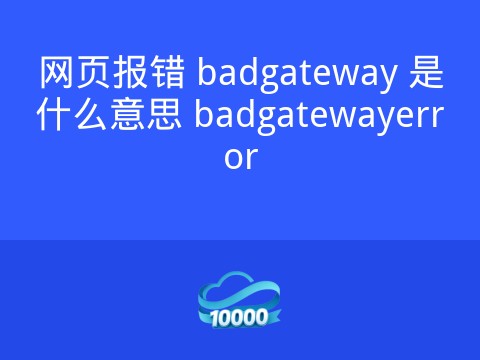 网页报错 badgateway 是什么意思 badgatewayerror
