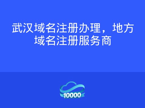 武汉域名注册办理,地方域名注册服务商