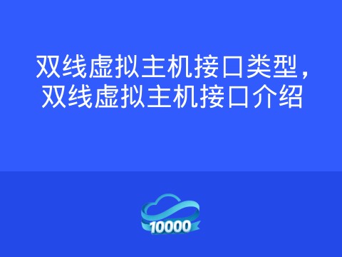 双线虚拟主机接口类型，双线虚拟主机接口介绍