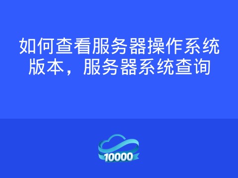 如何查看服务器操作系统版本,服务器系统查询