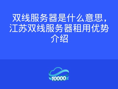 双线服务器是什么意思,江苏双线服务器租用优势介绍