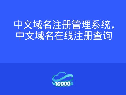 中文域名注册管理系统,中文域名在线注册查询