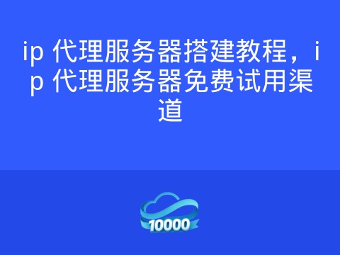 ip 代理服务器搭建教程,ip 代理服务器免费试用渠道