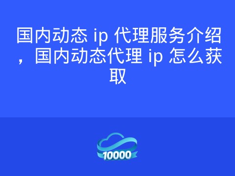 国内动态 ip 代理服务介绍,国内动态代理 ip 怎么获取