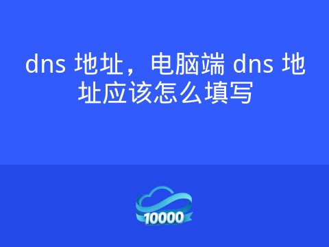 dns 地址,电脑端 dns 地址应该怎么填写