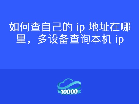 如何查自己的 ip 地址在哪里,多设备查询本机 ip