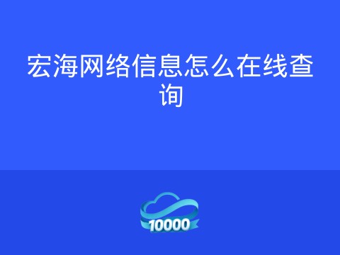 宏海网络信息怎么在线查询