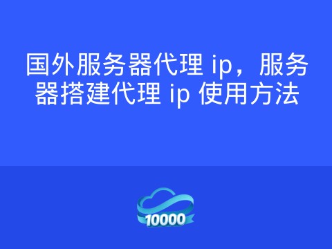 国外服务器代理 ip，服务器搭建代理 ip 使用方法