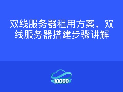 双线服务器租用方案,双线服务器搭建步骤讲解