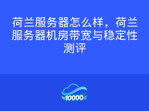 荷兰服务器怎么样,荷兰服务器机房带宽与稳定性测评