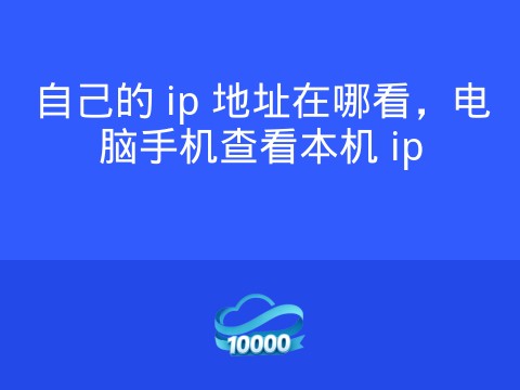 自己的 ip 地址在哪看,电脑手机查看本机 ip