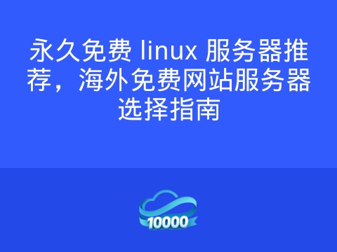 永久免费 linux 服务器推荐,海外免费网站服务器选择指南
