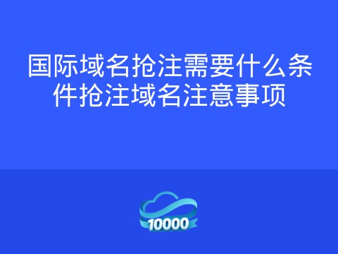 国际域名抢注需要什么条件抢注域名注意事项